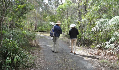 The walk to Fitzroy Falls, Morton National Park. Photo: Beth Boughton/NSW Government