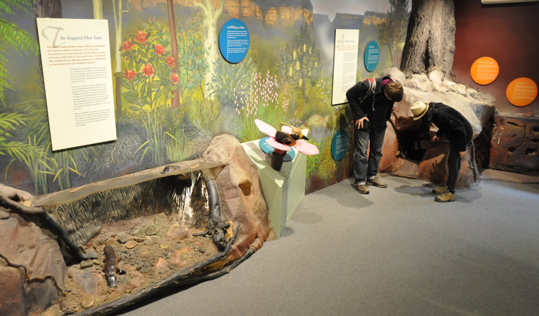 Fitzroy Falls Visitor Centre, education room,  Morton National Park. Photo: Beth Boughton/NSW Government