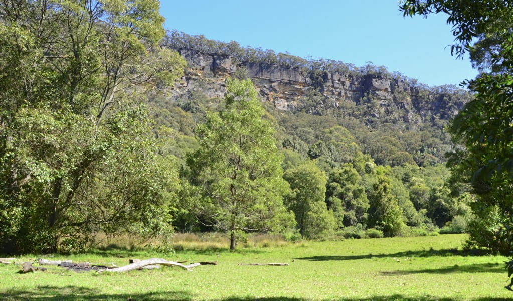 Gales Flat campground, surrounded by trees and sandstone cliffs in Morton National Park. Photo &copy; Jacqueline Devereaux