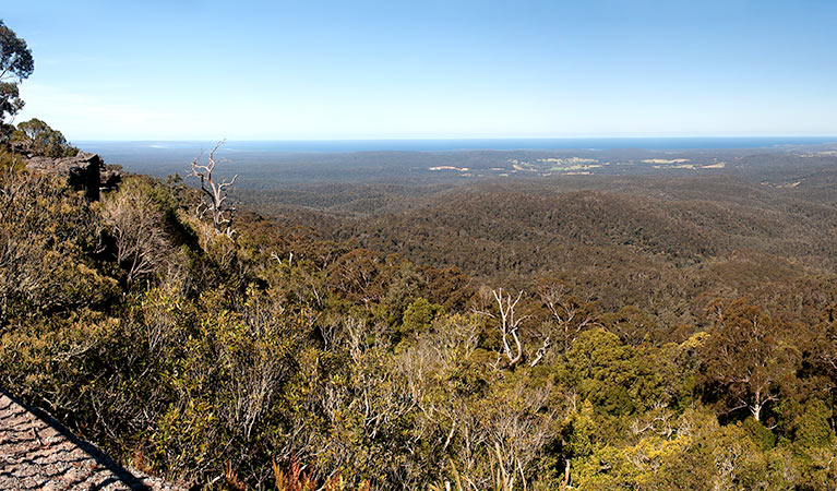 George Boyd lookout, Morton National Park. Photo: Michael Van Ewijk &copy; OEH