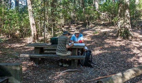 George Boyd picnic area, Morton National Park. Photo: Michael Van Ewijk