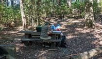 George Boyd picnic area, Morton National Park. Photo: Michael Van Ewijk