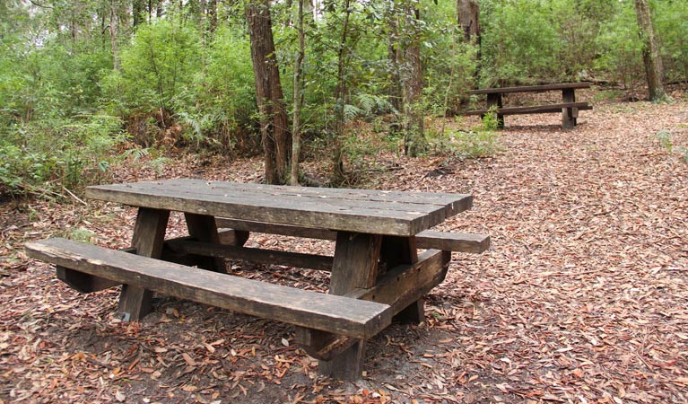 George Boyd picnic area, Morton National Park. Photo: John Yurasek &copy; OEH