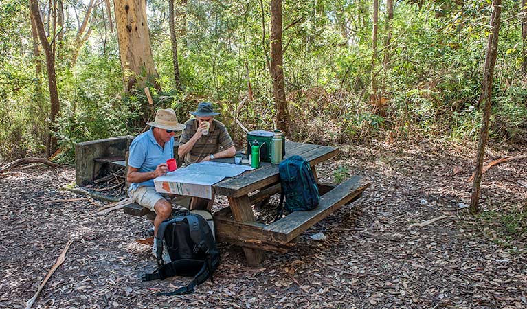 George Boyd picnic area, Morton National Park. Photo: Michael Van Ewijk