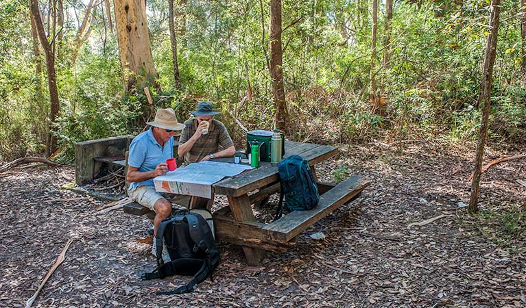 George Boyd picnic area, Morton National Park. Photo: Michael Van Ewijk