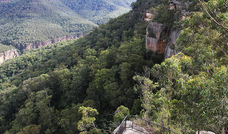 View of Grand Canyon lookout platform on sandstone cliffs above a densely forested valley. Photo: John Yurasek/OEH.