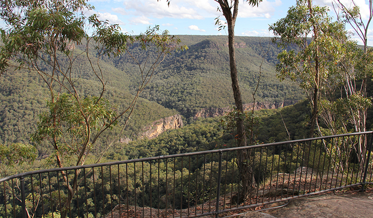 Grand Canyon lookout platform and railing, with valley and forest views Photo: John Yurasek/OEH.