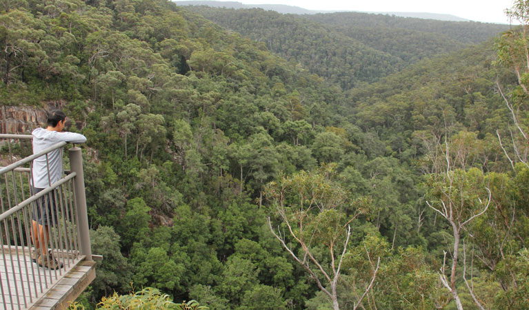 Visitor looking out over Morton National Park. Photo: John Yurasek &copy; OEH