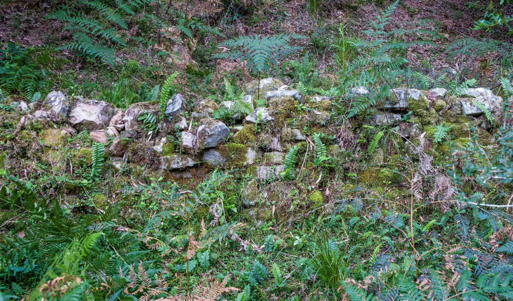 Remnants of an old house, barn, and rock wall fence can still be seen at Griffins Farm campground in Morton National Park. Photo: Michael Van Ewijk &copy; OEH