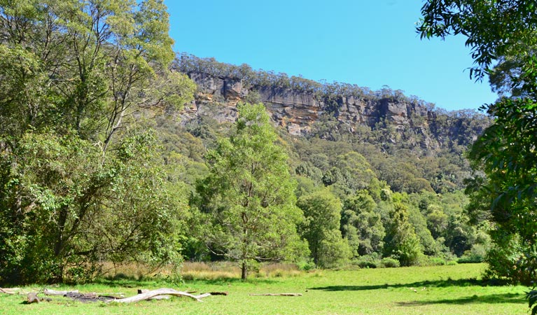 Griffins walking track, Morton National Park. Photo &copy; Jacqueline Devereaux