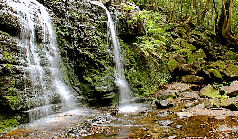 Waterfall in Morton National Park. Photo: John Yurasek Copyright:NSW Government