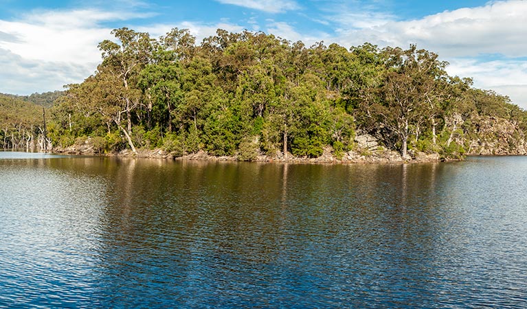 Kangaroo River walking track, Morton National Park. Photo: Michael Van Ewijk &copy; OEH