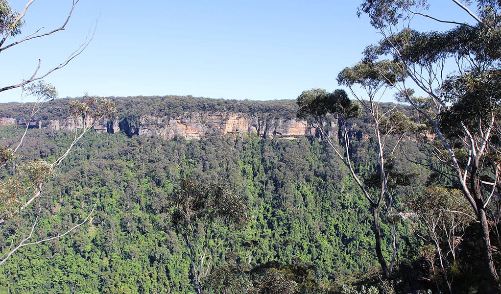 The view from Lamond lookout in Morton National Park. Photo credit: Geoffrey Saunders &copy; DPIE