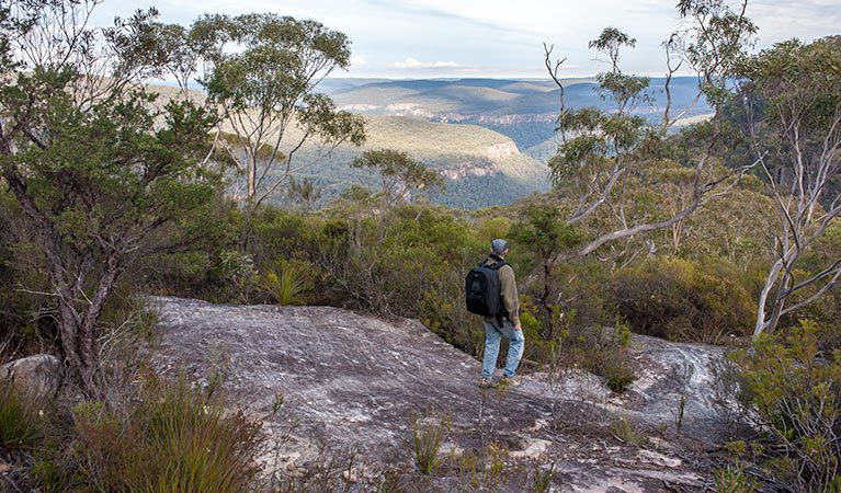 Lovers walking track, Morton National Park. Photo: Michael Van Ewijk &copy; OEH