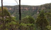 View from May lookout in Morton National Park. Photo credit: Geoffrey Saunders &copy; DPIE