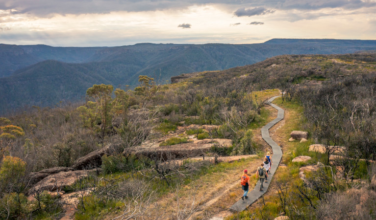 A group of 4 people walking along Mount Bushwalker walking track In Morton National Park with bushland views in background. Photo: John Spencer &copy; DPE