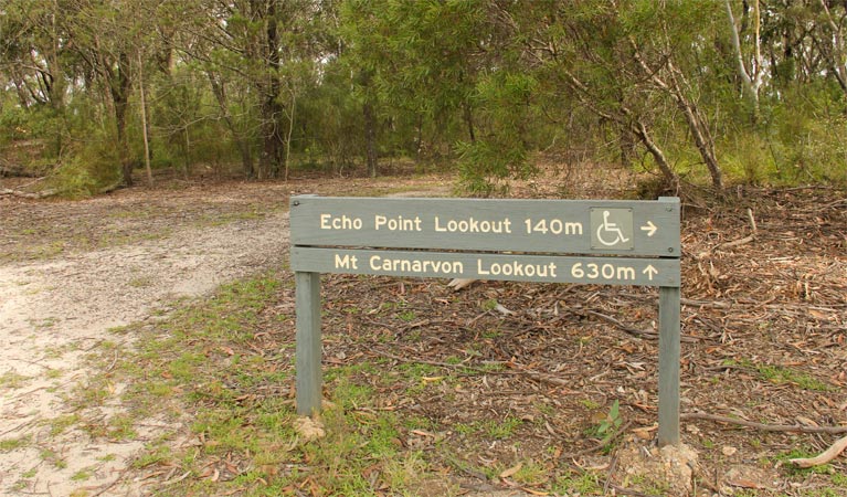 Mount Carnavon walking track, Morton National Park. Photo: John Yurasek &copy; OEH