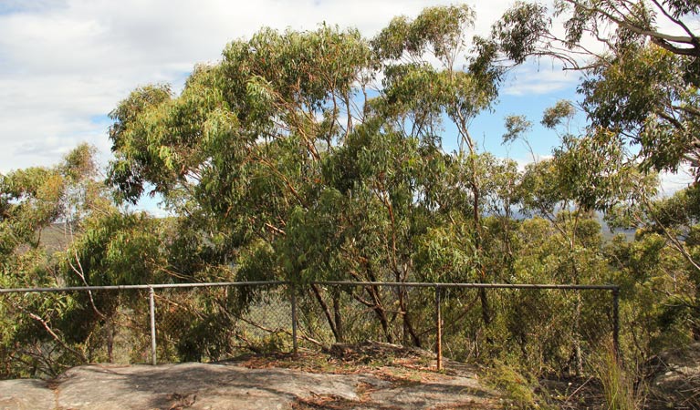 Mount Carnavon walking track, Morton National Park. Photo: John Yurasek &copy; OEH