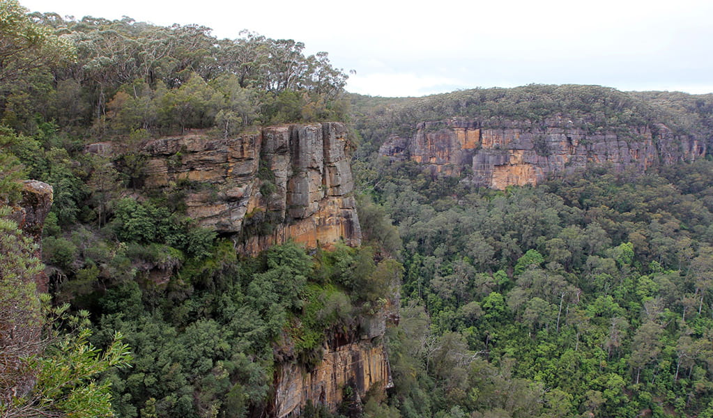 The view from Paines lookout in Morton National Park. Photo credit: Geoffrey Saunders &copy; DPIE