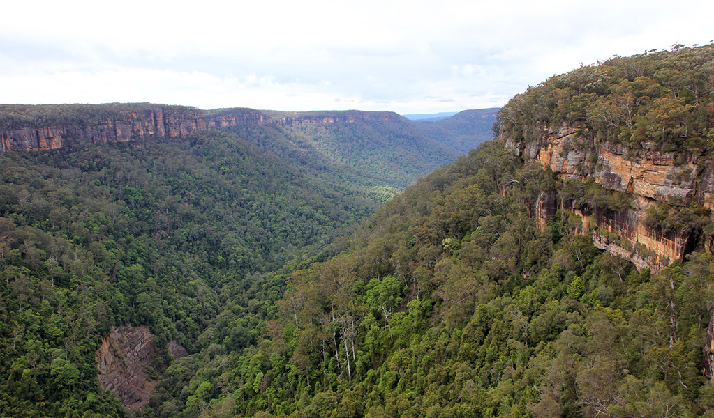 The view from Paines lookout in Morton National Park. Photo credit: Geoffrey Saunders &copy; DPIE