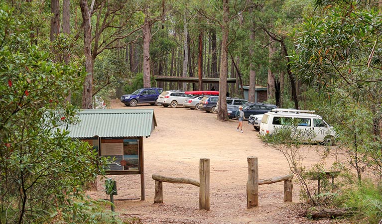 Pigeon House Didthul Mountain picnic area, Morton National Park. Photo: John Yurasek