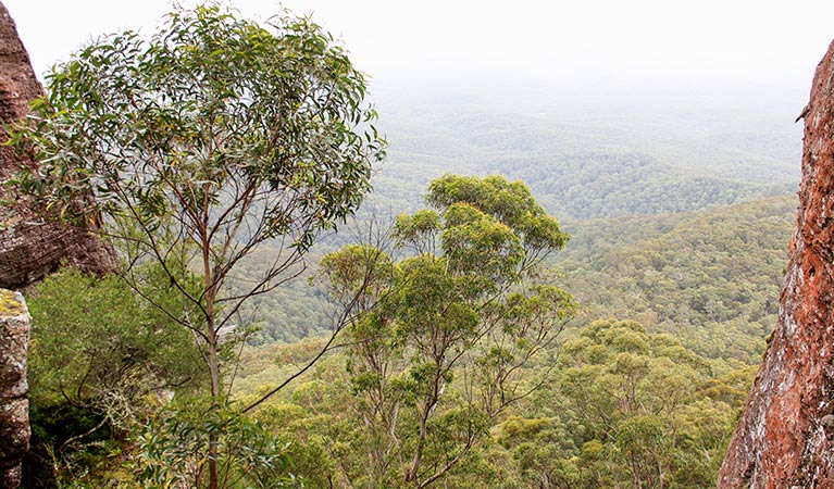 Pigeon House Didthul Mountain picnic area, Morton National Park. Photo: John Yurasek