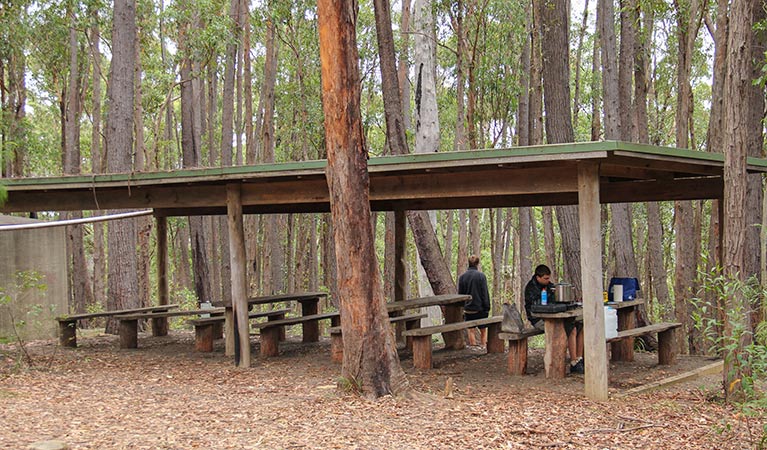 Pigeon House Didthul Mountain picnic area, Morton National Park. Photo: John Yurasek