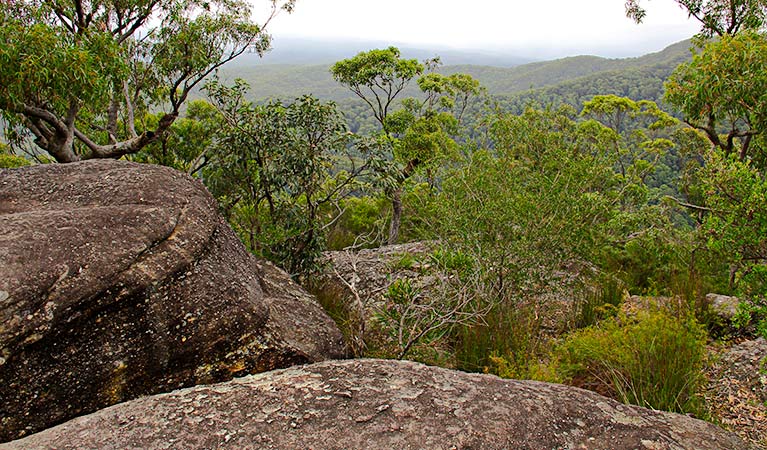 A lookout, Pigeon House Didthul walking track. Photo: John Yurasek &copy; OEH