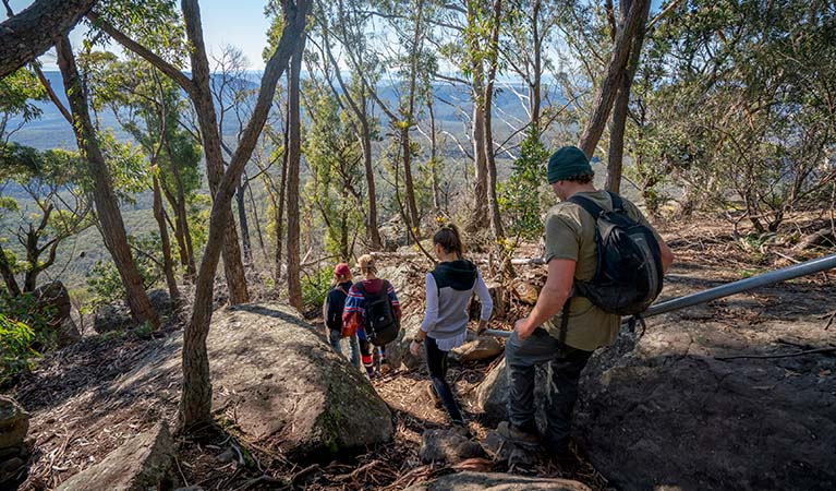 People walking on the track, Pigeon House Mountain Didthul walking track, Morton National Park. Photo credit: John Spencer &copy; DPIE