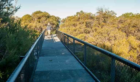 Pointer Gap lookout, Morton National Park. Photo: Michael Van Ewijk &copy; OEH