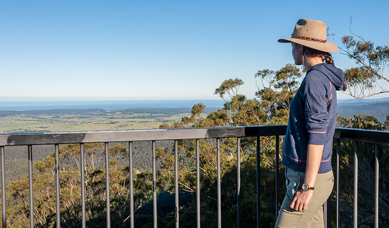 Pointer Gap lookout, Morton National Park. Photo: Michael Van Ewijk &copy; OEH