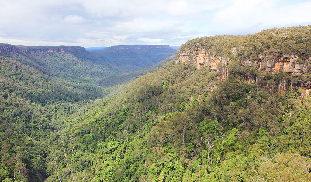 The view from Richardson lookout in Morton National Park. Photo credit: Geoffrey Saunders &copy; DPIE