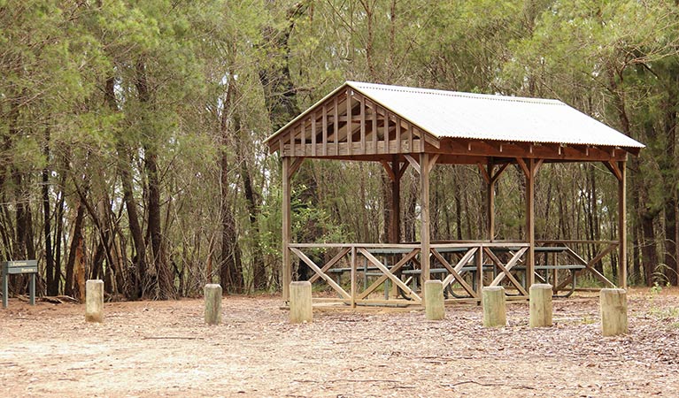 Riverview walk, Morton National Park. Photo: John Yurasek &copy; OEH