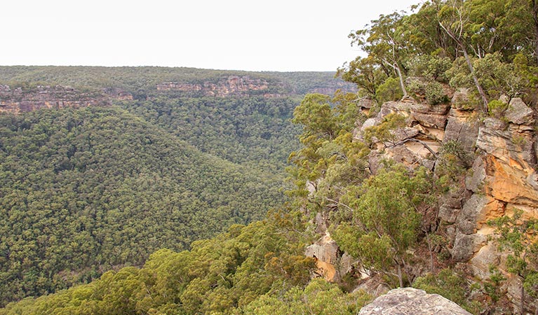 Riverview walking track, Morton National Park. Photo: John Yurasek &copy; OEH