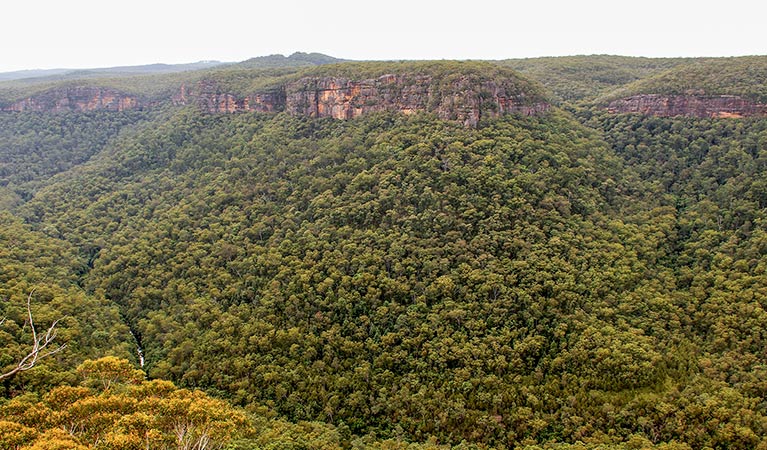 Riverview walking track, Morton National Park. Photo: John Yurasek &copy; OEH