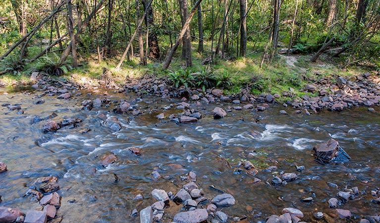 Toorooroo campground, Morton National Park. Photo: Michael Van Ewijk/NSW Government