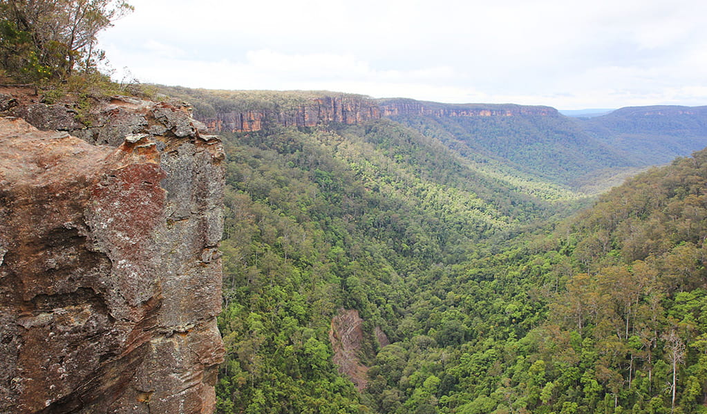 The view from Twin Falls lookout in Morton National Park. Photo credit: Geoffrey Saunders &copy; DPIE