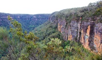 The view from Valley View lookout in Morton National Park. Photo credit: Geoffrey Saunders &copy; DPIE