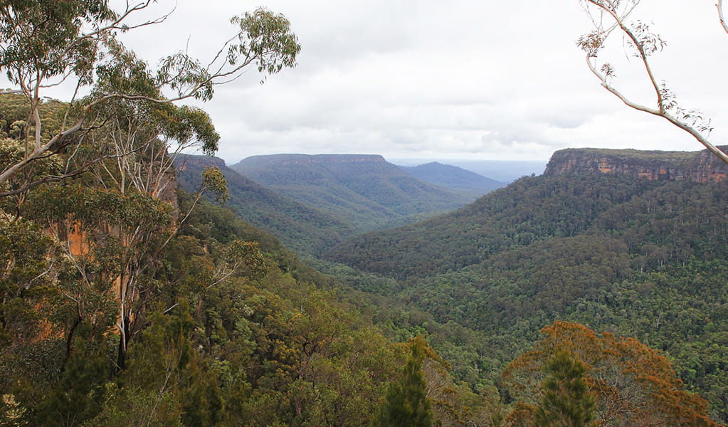 The view from Valley View lookout in Morton National Park. Photo credit: Geoffrey Saunders &copy; DPIE