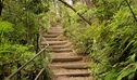 West Rim walking track, Morton National Park. Photo: John Yurasek &copy; OEH