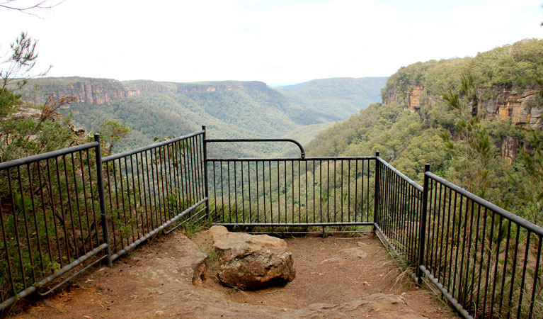 West Rim walking track, Morton National Park. Photo: John Yurasek &copy; OEH