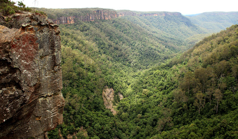 West Rim walking track, Morton National Park. Photo: John Yurasek &copy; OEH