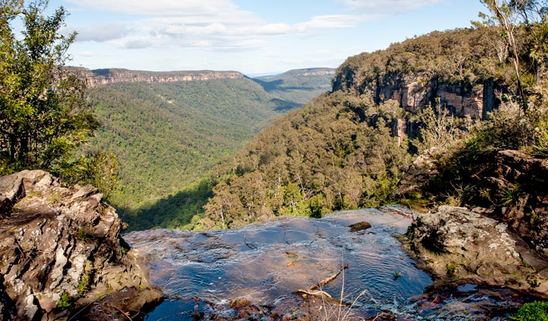 West Rim walking track, Morton National Park. Photo: Michael Van Ewijk &copy; OEH