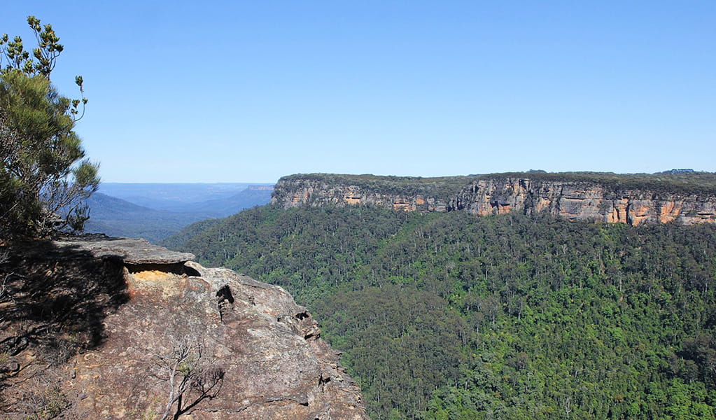 The view from Yarrunga lookout in Morton National Park. Photo credit: Geoffrey Saunders &copy; DPIE
