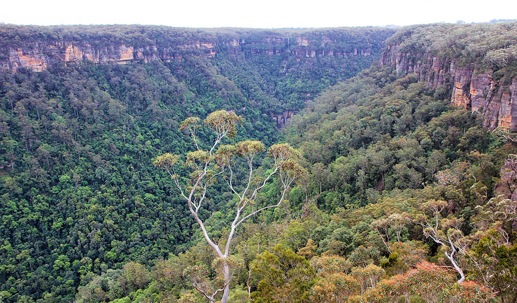 The view from Yarrunga lookout in Morton National Park. Photo credit: Geoffrey Saunders &copy; DPIE