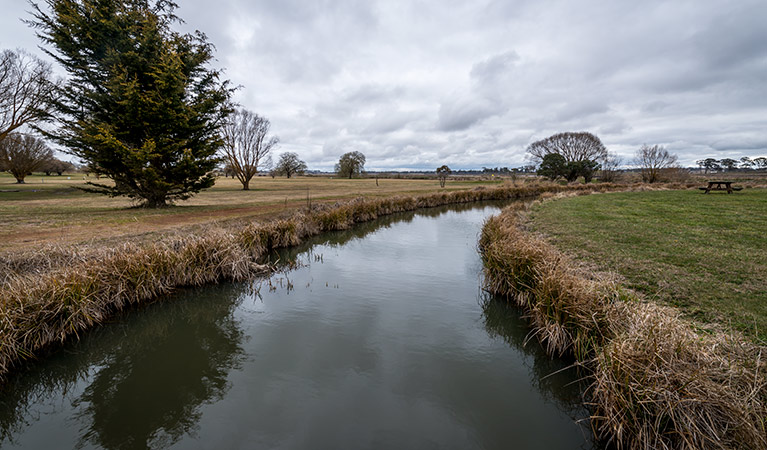 Lagoon shores, Mother of Ducks Lagoon Nature Reserve. Photo: John Spencer &copy; DPIE