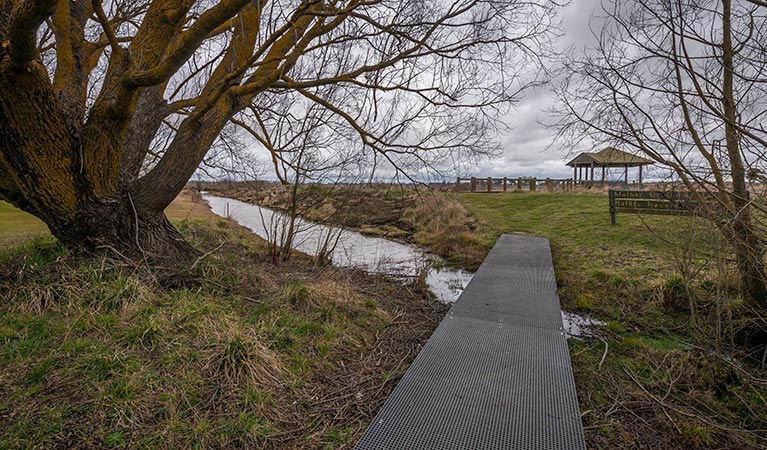 Lagoon shore, Mother of Ducks Lagoon Nature Reserve. Photo: John Spencer &copy; DPIE