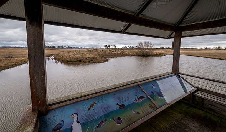 Mother of Ducks Lagoon Nature Reserve birdwatching platform, Mother of Ducks Lagoon Nature Reserve. Photo: John Spencer