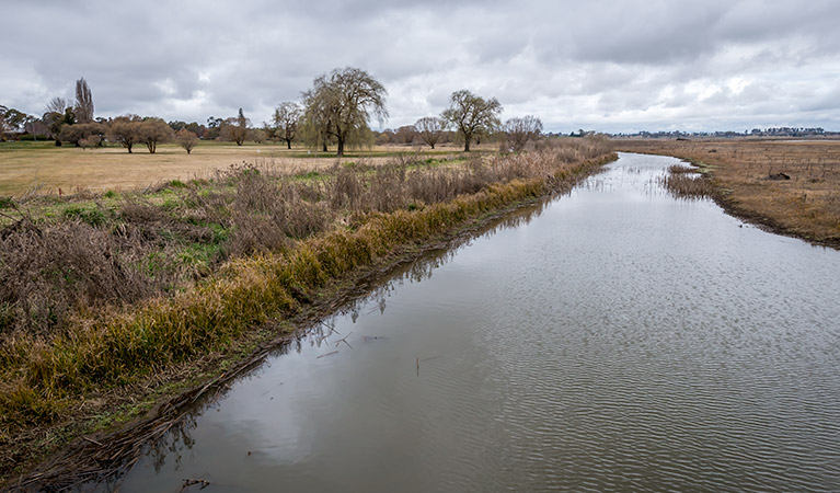 Lagoon shore, Mother of Ducks Lagoon Nature Reserve birdwatching platform. Photo: John Spencer