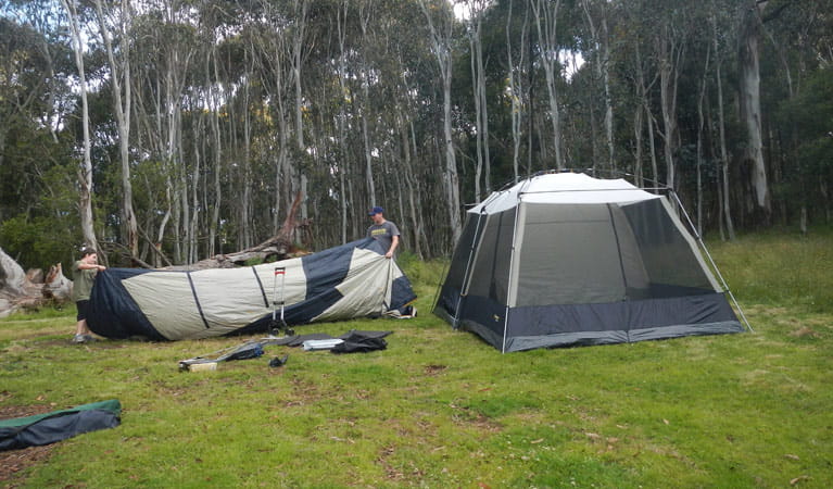 Tents in Federal Falls campground. Photo: Debby McGerty/DPIE
